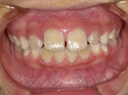 PICT0054s.jpg