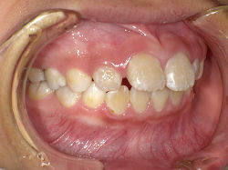 PICT0057s.jpg