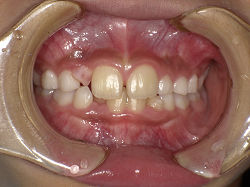 PICT0066s.jpg