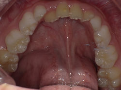 PICT0072s.jpg