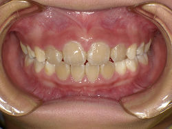 PICT2770s.jpg