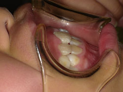 PICT2773s.jpg