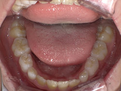 PICT3071s.jpg