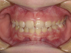 resize0079.jpg