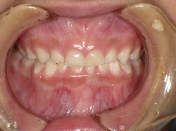 resize0088.jpg