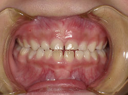resize0089.jpg