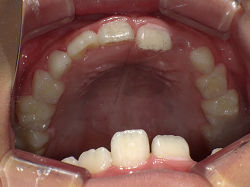 resize0095.jpg