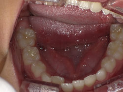 resize0096.jpg