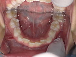 kanbe1701l.jpg